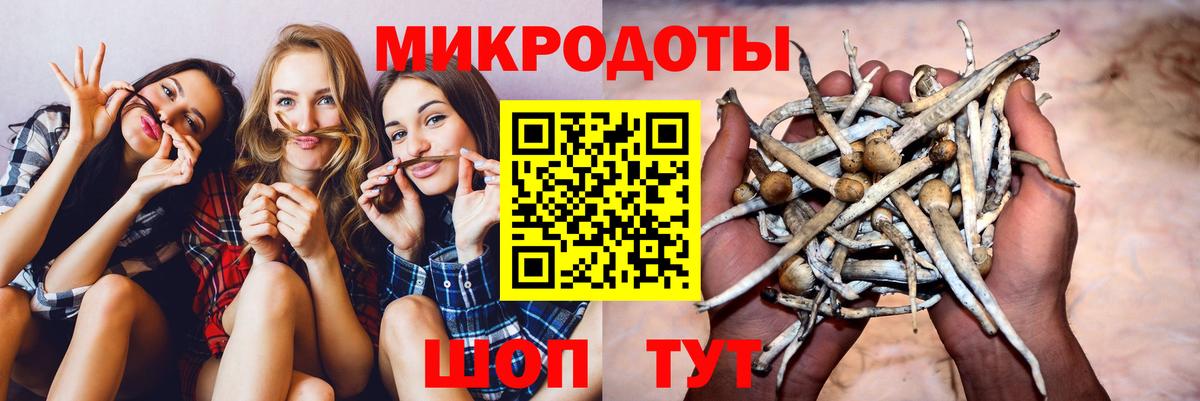 Галлюциногенные грибы мухоморы  Вход с VPN  Якутск 